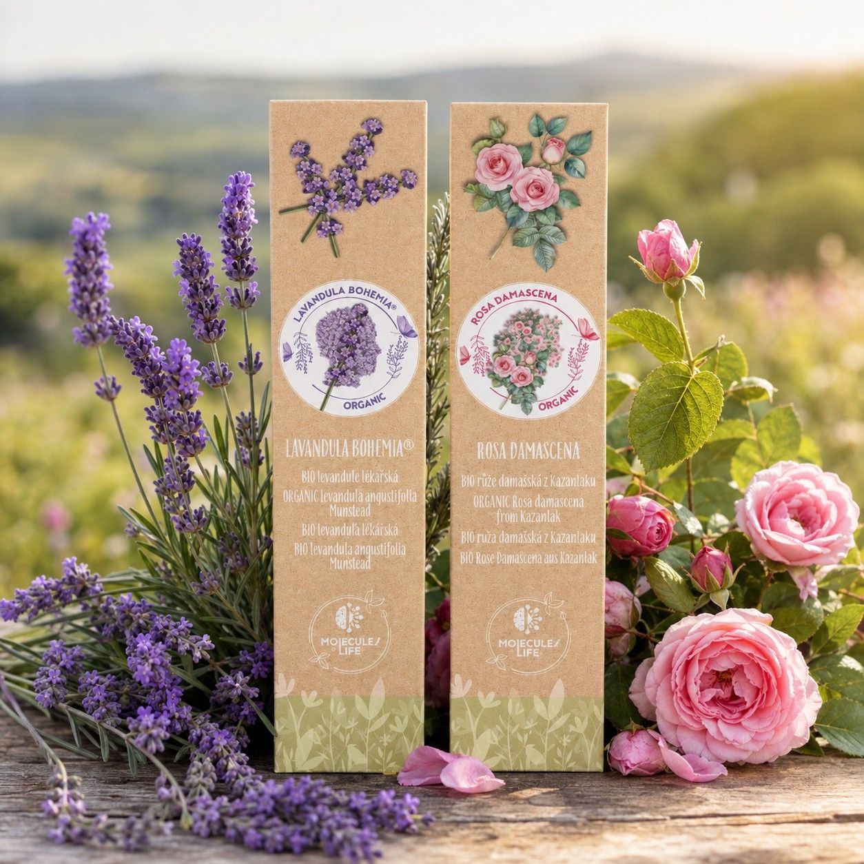 Krabičky Lavandula Bohemia a Rosa Damascena mezi levandulí a růžemi